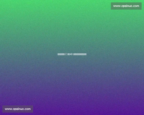 伊尔迪兹盛赞 C 罗:40 岁传奇仍是足坛巅峰标杆 伊尔迪兹盛赞 C 罗:40 岁传奇仍是足坛巅峰标杆