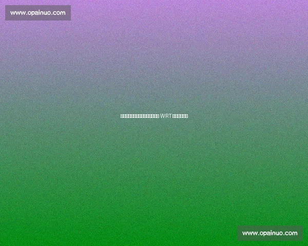 叶一飞勒芒首秀领跑却遭致命故障 WRT 车队遗憾退赛